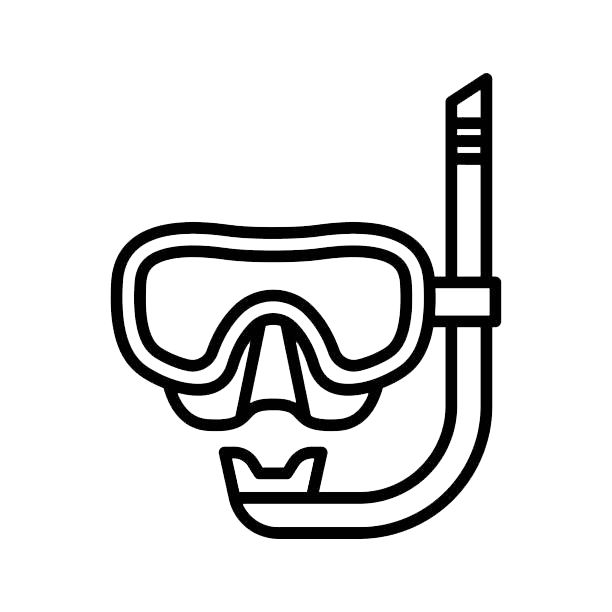 Snorkeling Gear